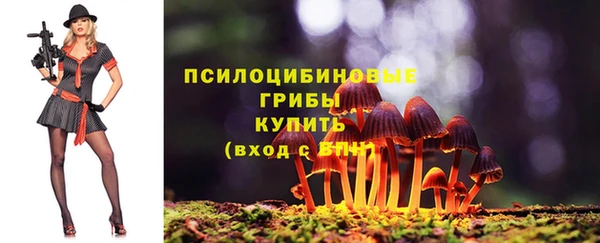 прущая мука Дмитриев